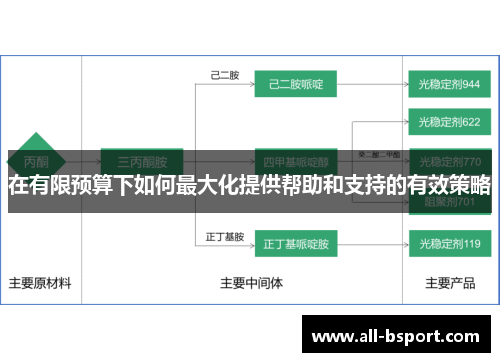 在有限预算下如何最大化提供帮助和支持的有效策略