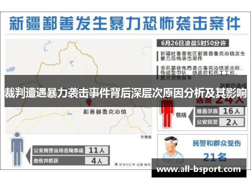 裁判遭遇暴力袭击事件背后深层次原因分析及其影响