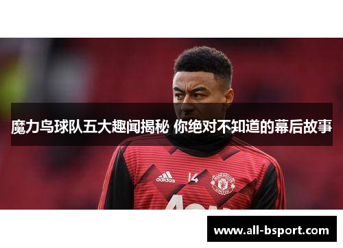 魔力鸟球队五大趣闻揭秘 你绝对不知道的幕后故事